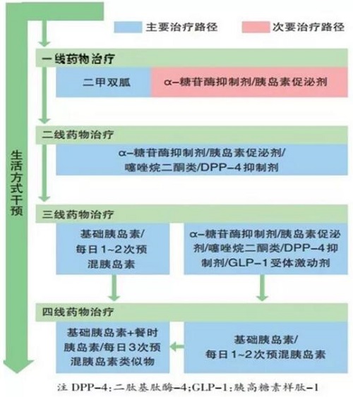 糖尿病怎么治疗BOB半岛·体育官方平台(图1)