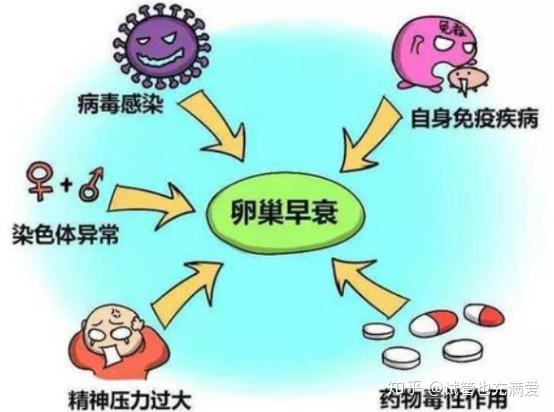 免疫调节剂是什么？有什么作用？(图1)