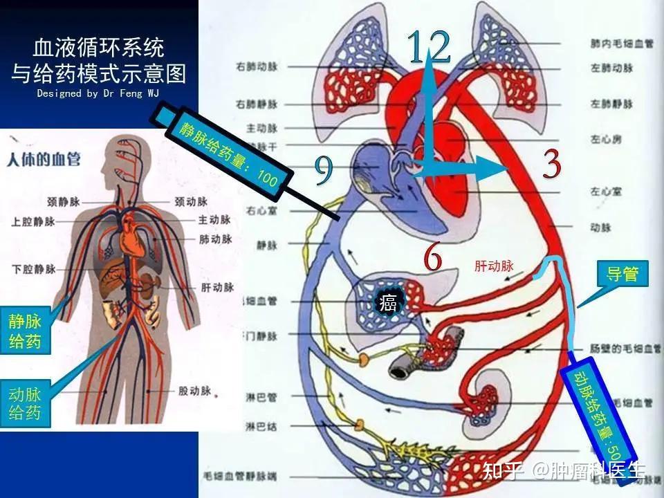 2023新版医保目录正式启用血液系统疾病创新药再获扩充(图1)