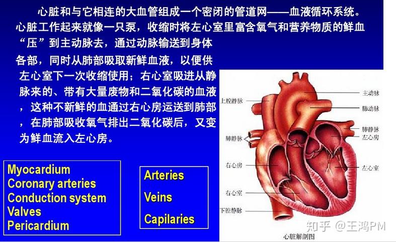 华北制药提交WA1-089片临床申请为1类血液系统药物(图1)