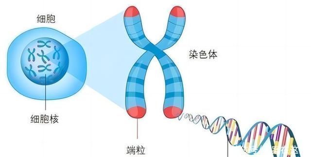 科技部：我国获批I类新药从5个增至75个一批国产高端医疗器械投入使用(图1)