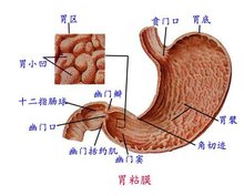 反复发作眩晕是得脑梗了吗？(图1)