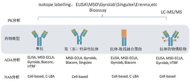 半岛·综合体育网页版推荐学习丨抗体偶联药物（ADC）研发解决方案(图1)