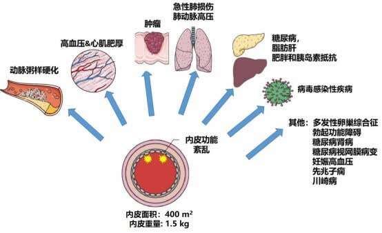 半岛·综合体育官网入口以临床价值为导向做真正的创新药(图1)