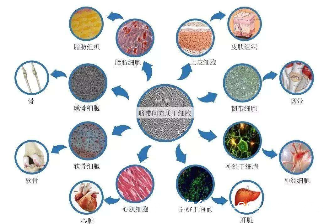 半岛体彩官网视频｜5分钟了解甲状腺癌的治疗(图1)